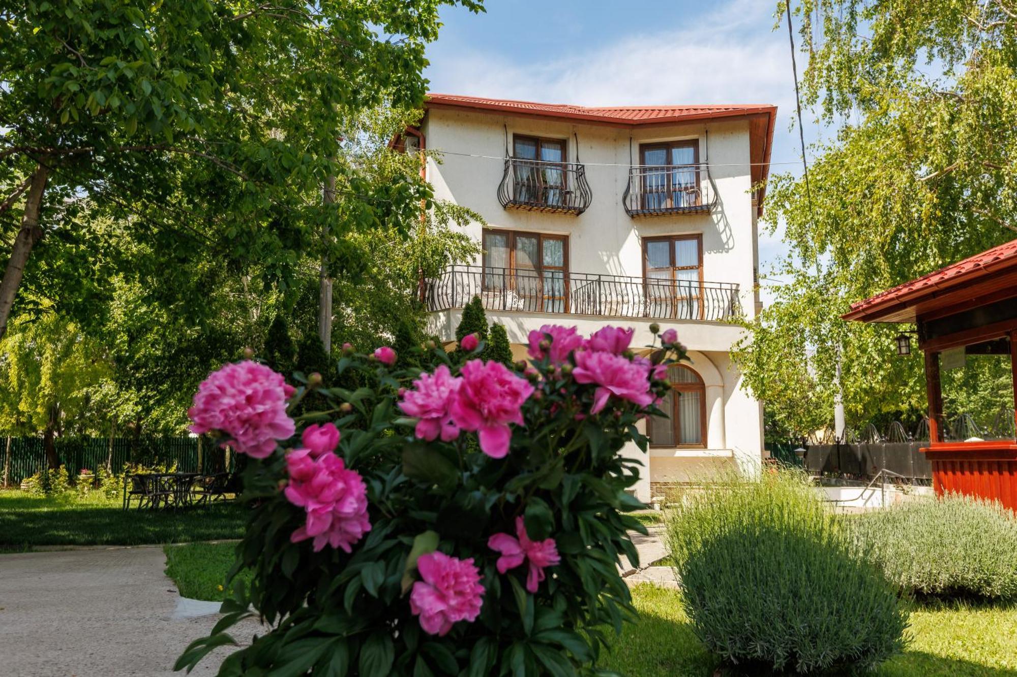 Vila Belvedere Galaţi Buitenkant foto