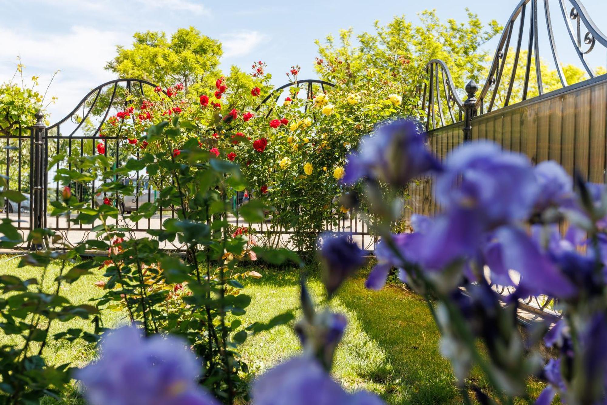 Vila Belvedere Galaţi Buitenkant foto